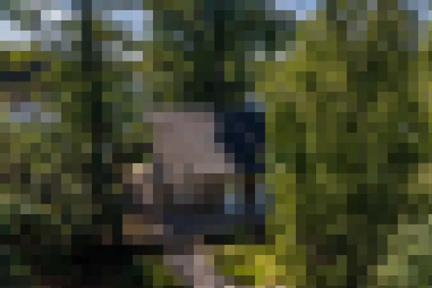 Oude Badweg 152 a 13 Haren Gn thumbnail 41