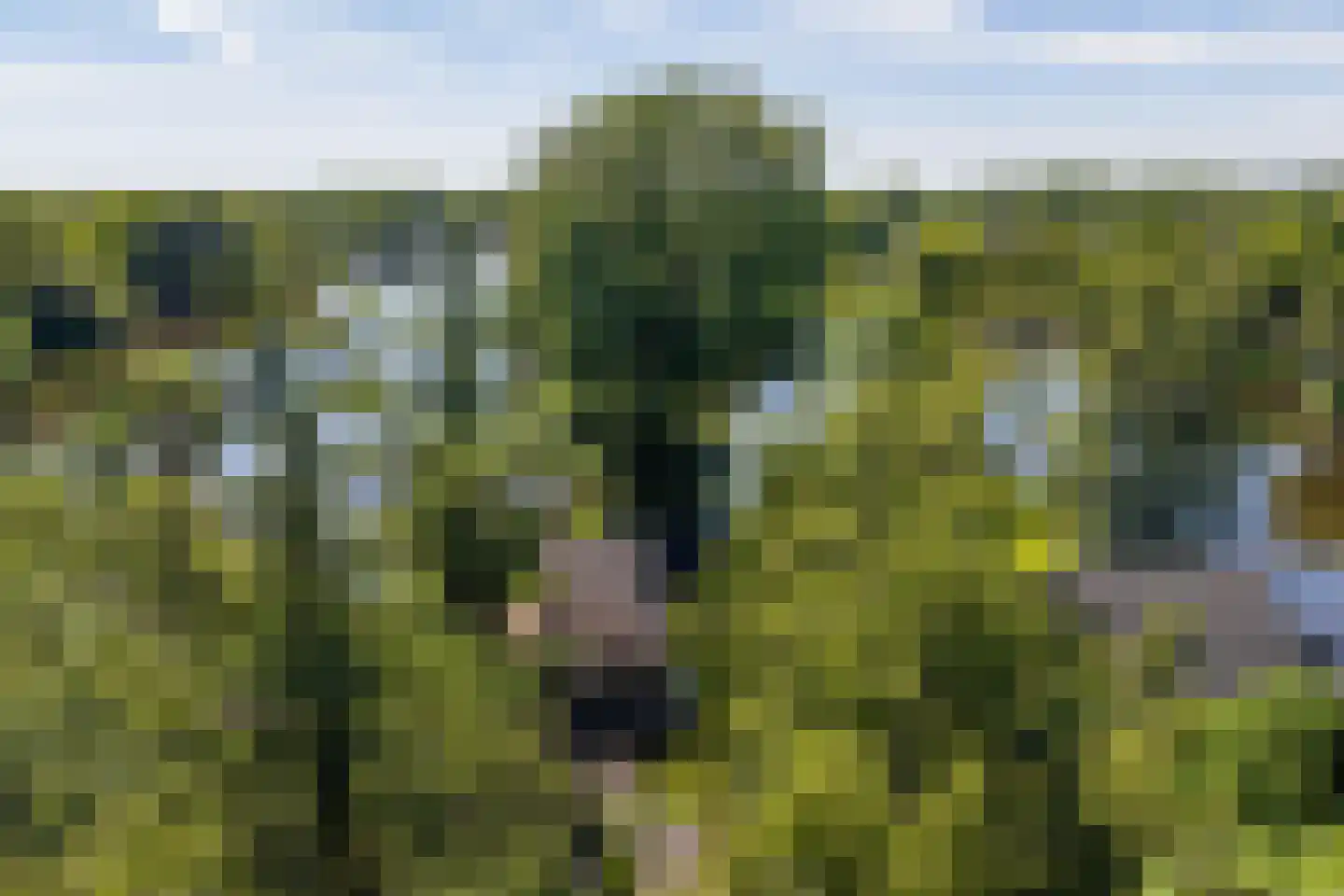 Oude Badweg 152 a 13 Haren Gn thumbnail 42