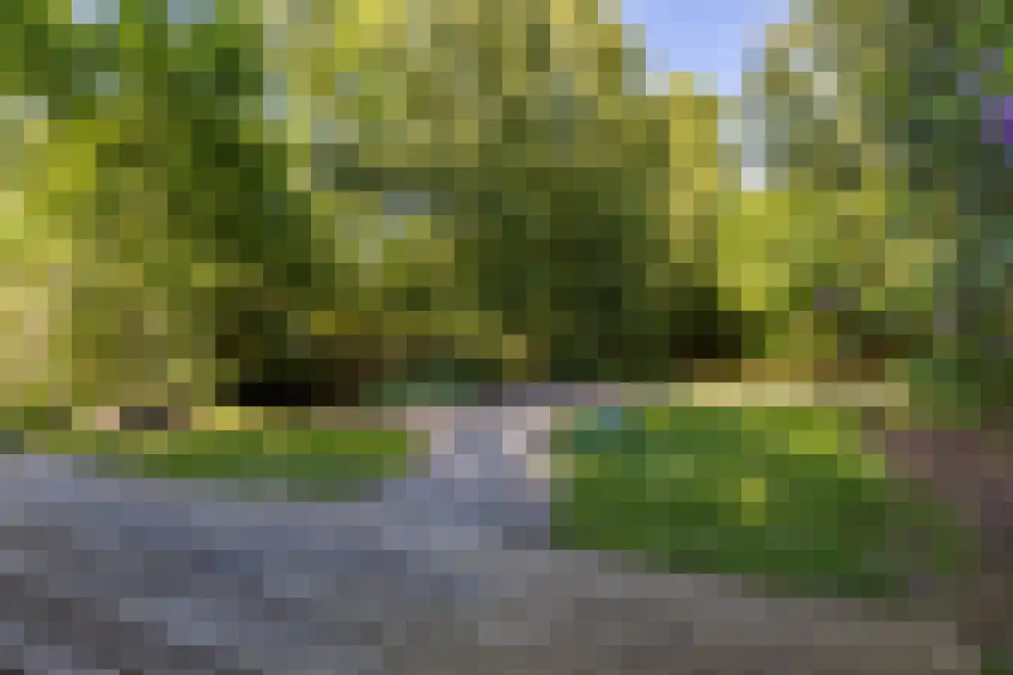 Oude Badweg 152 a 13 Haren Gn thumbnail 43