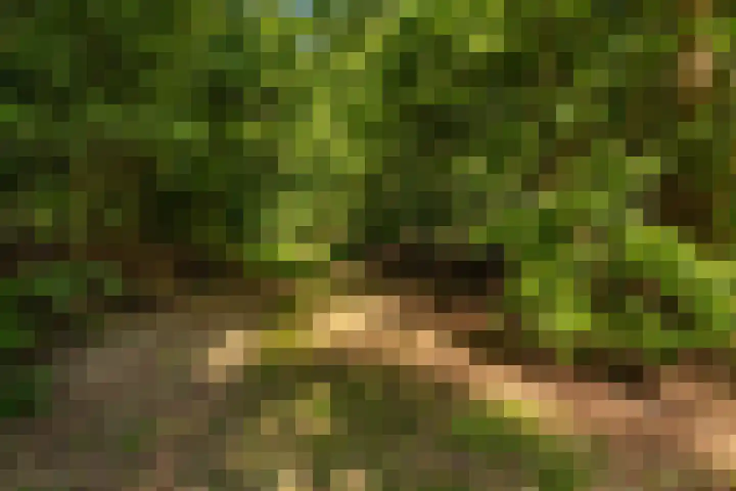 Oude Badweg 152 a 13 Haren Gn thumbnail 44