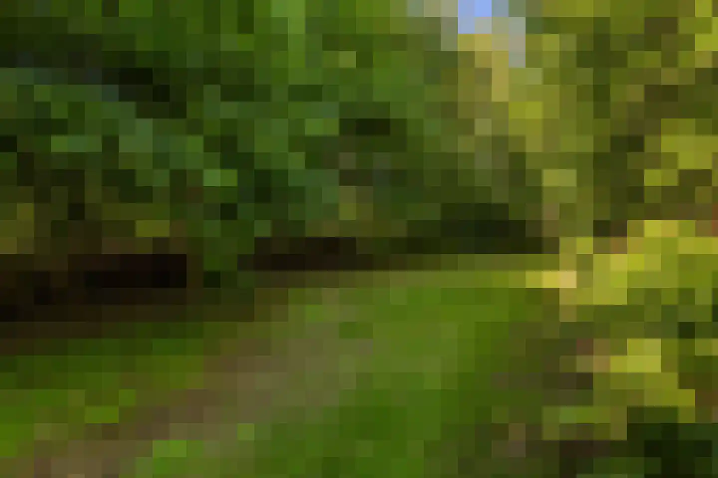 Oude Badweg 152 a 13 Haren Gn thumbnail 45