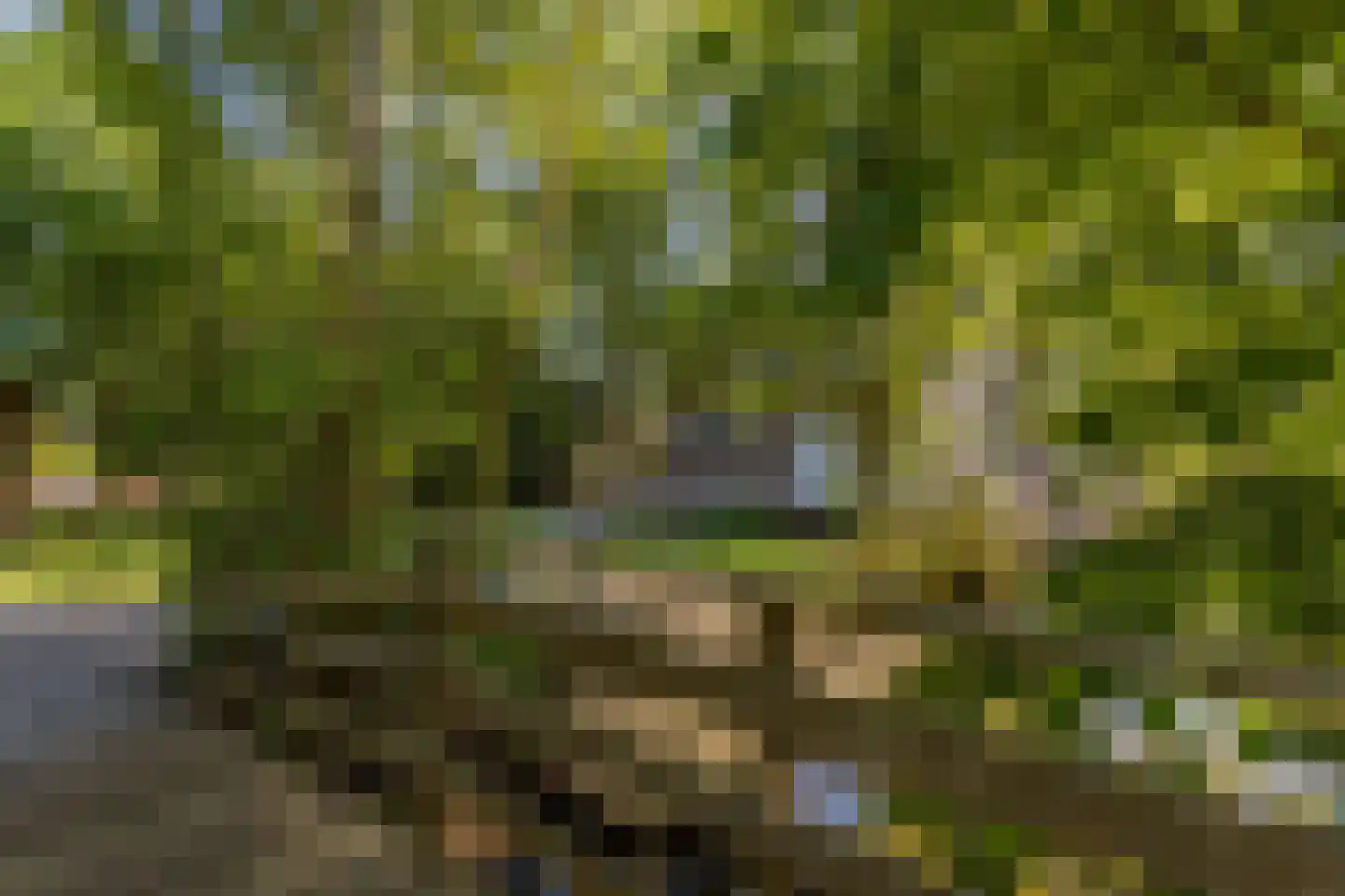 Oude Badweg 152 a 13 Haren Gn thumbnail 6