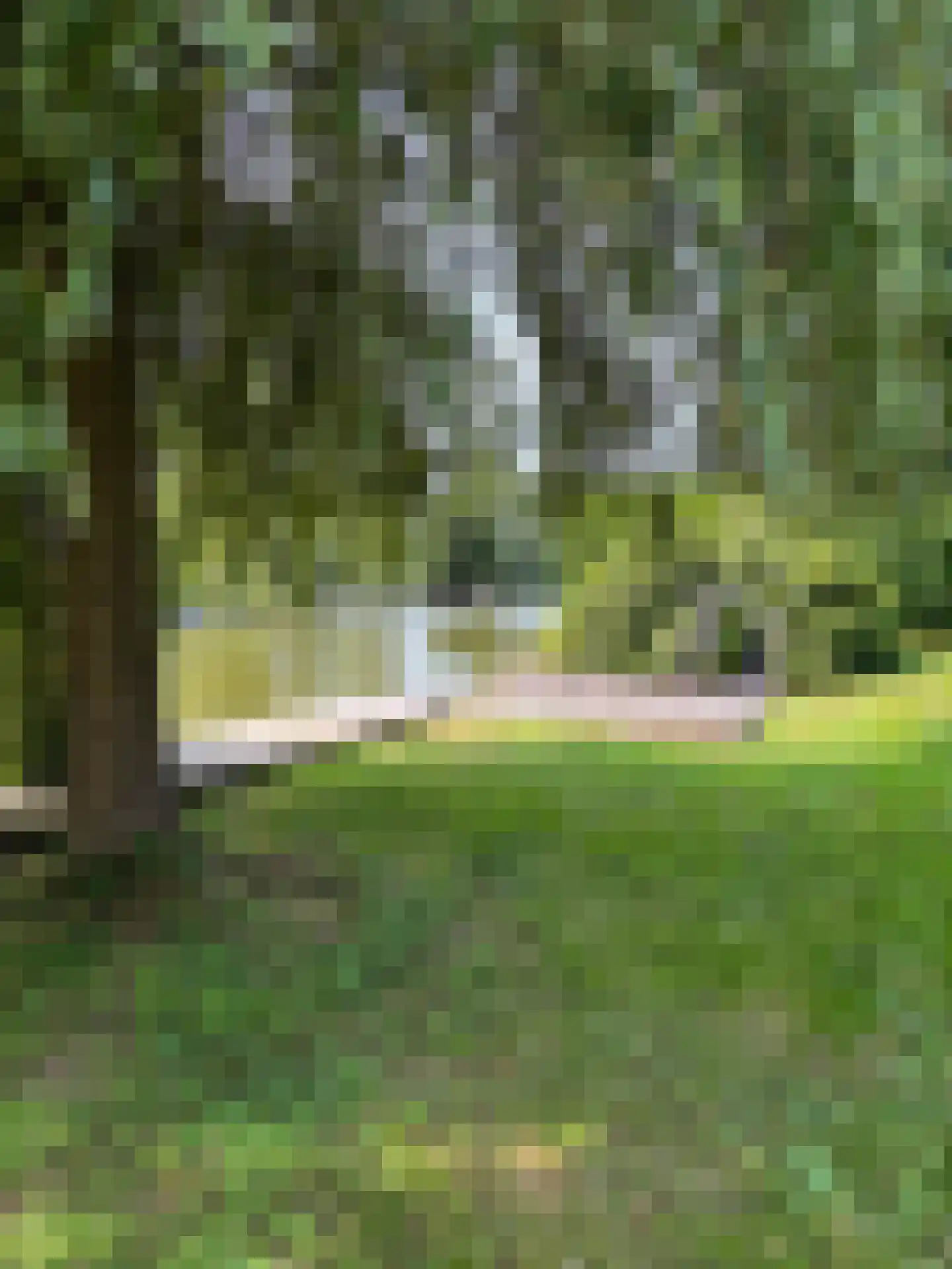 Oude Badweg 152 a 7 Haren Gn thumbnail 38