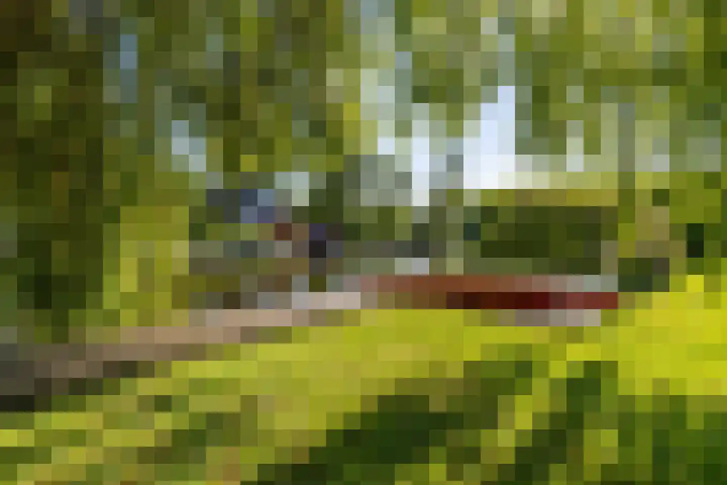 Oude Badweg 152 a 7 Haren Gn thumbnail 39