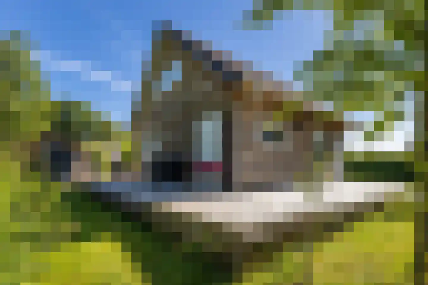 Oude Badweg 152 a 7 Haren Gn thumbnail 7