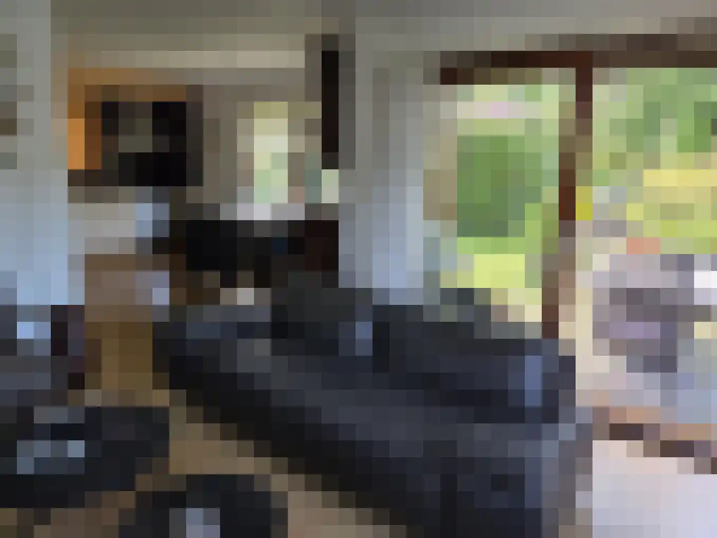 Oude Badweg 54 Eelderwolde thumbnail 10