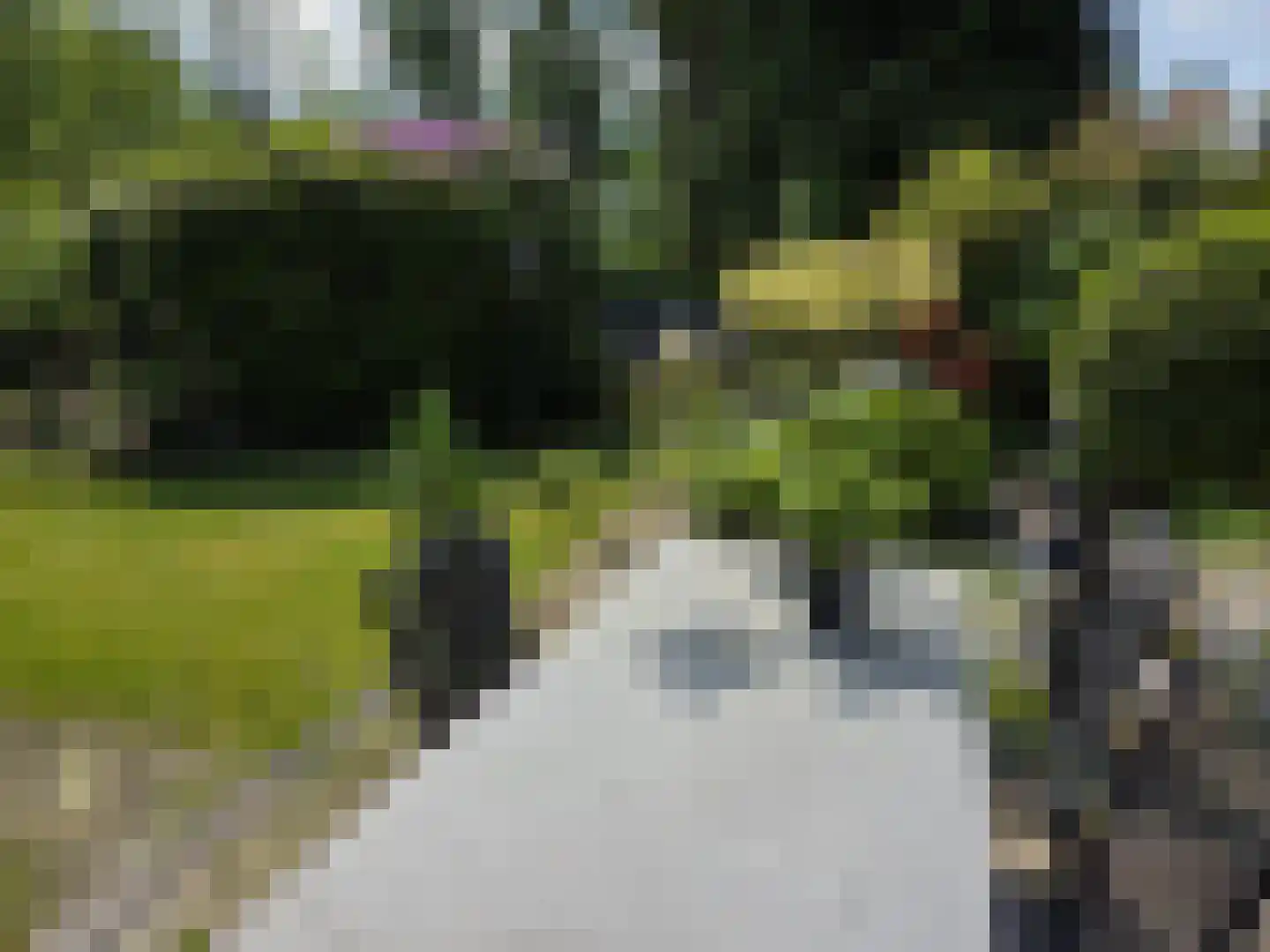 Oude Badweg 54 Eelderwolde thumbnail 11