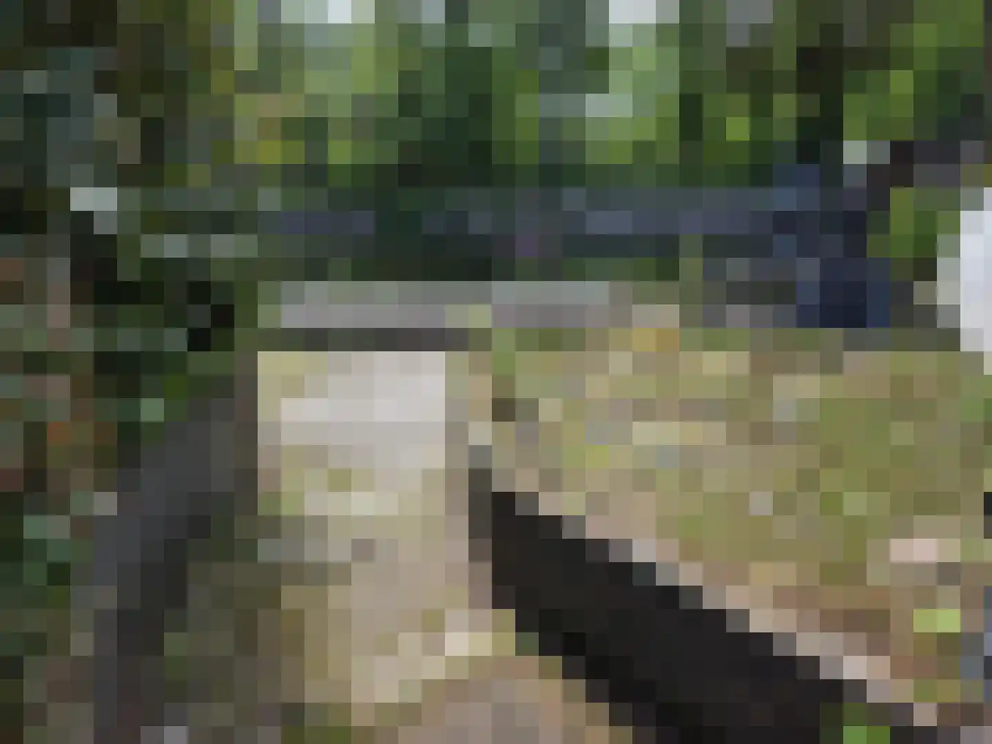 Oude Badweg 54 Eelderwolde thumbnail 12