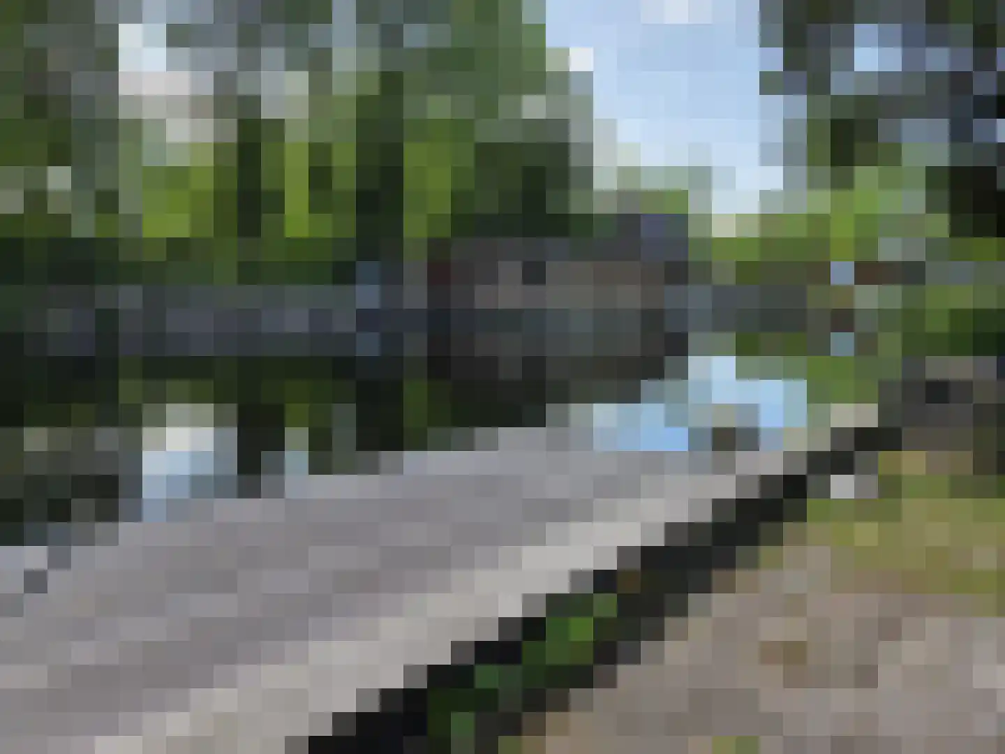 Oude Badweg 54 Eelderwolde thumbnail 13