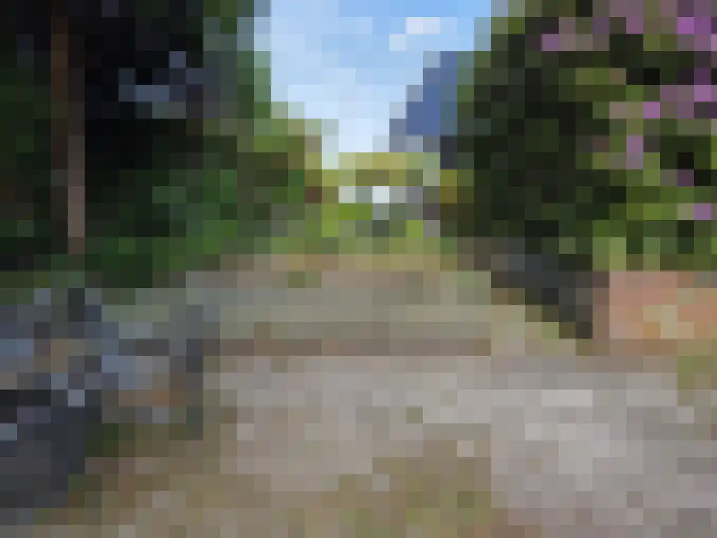 Oude Badweg 54 Eelderwolde thumbnail 15