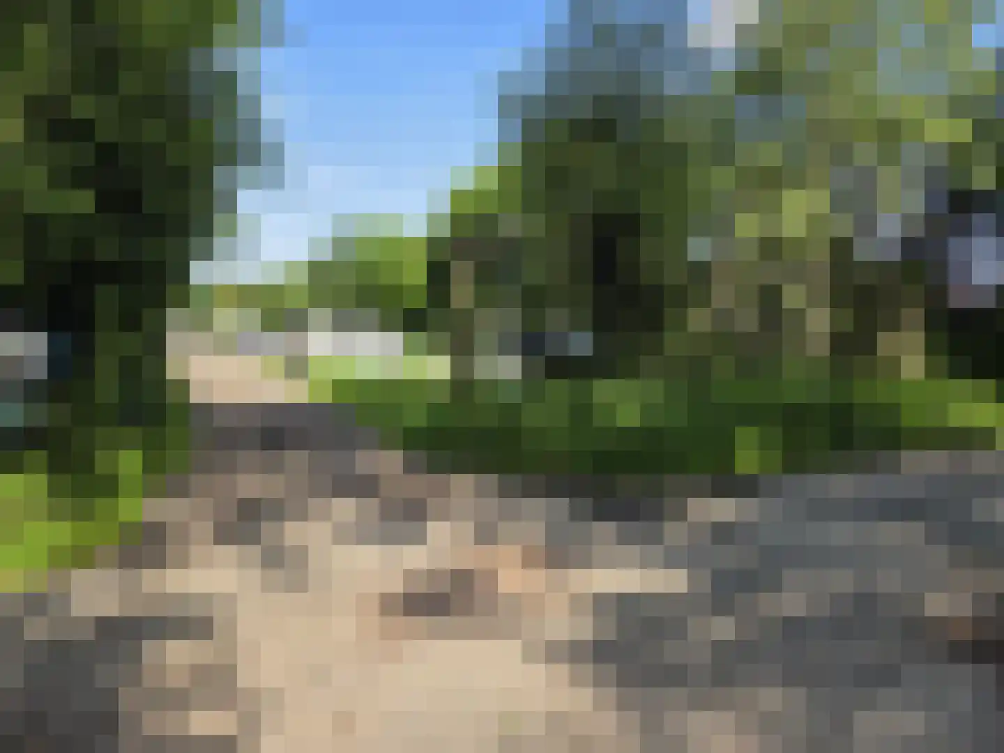 Oude Badweg 54 Eelderwolde thumbnail 16