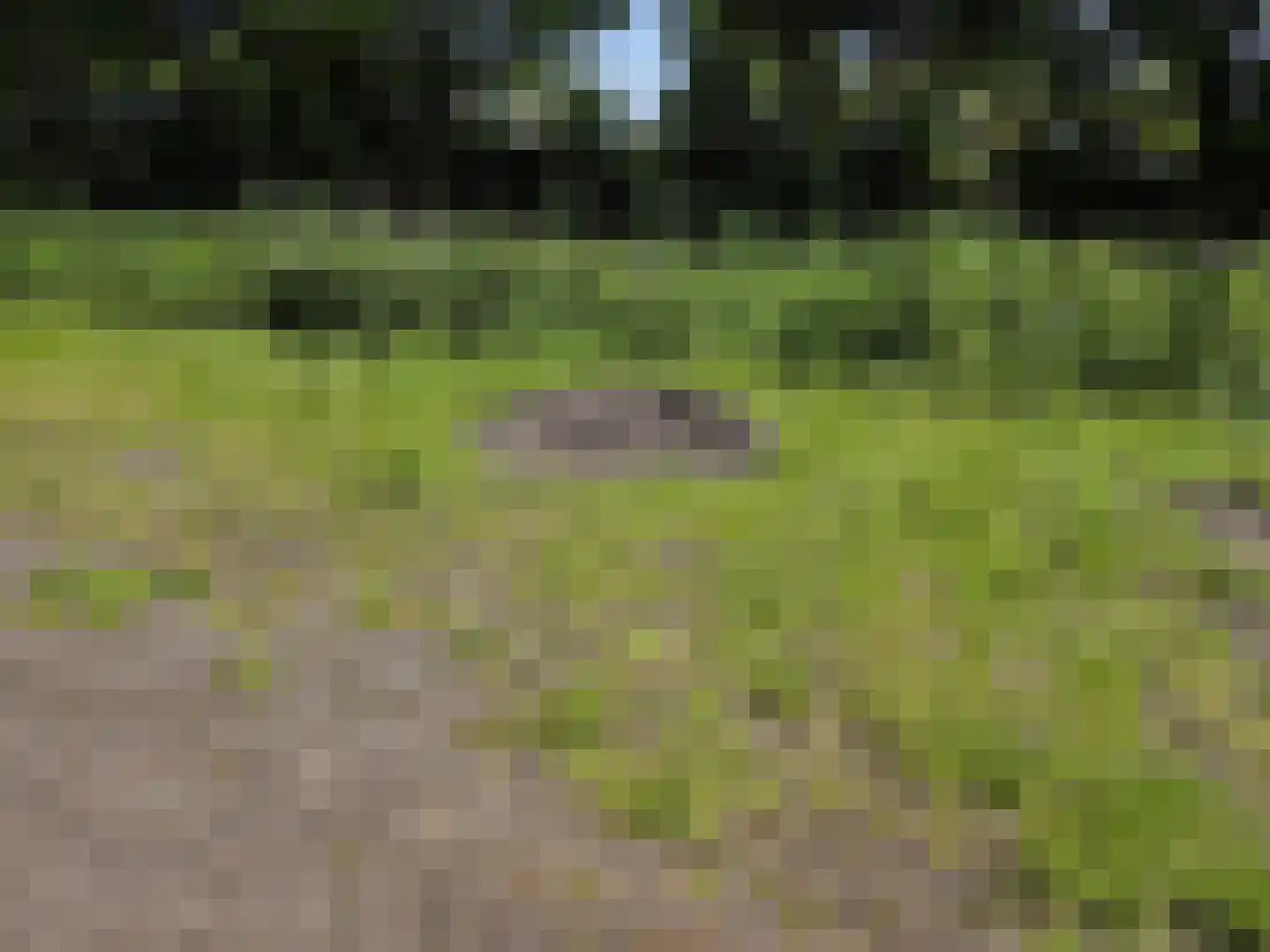 Oude Badweg 54 Eelderwolde thumbnail 18