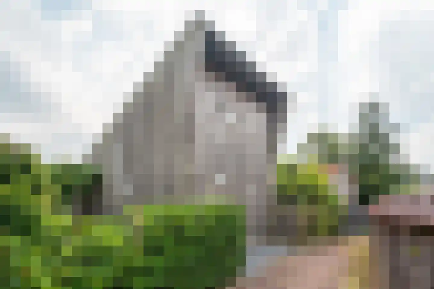 Oude Badweg 58 a 5 Haren Gn thumbnail 5