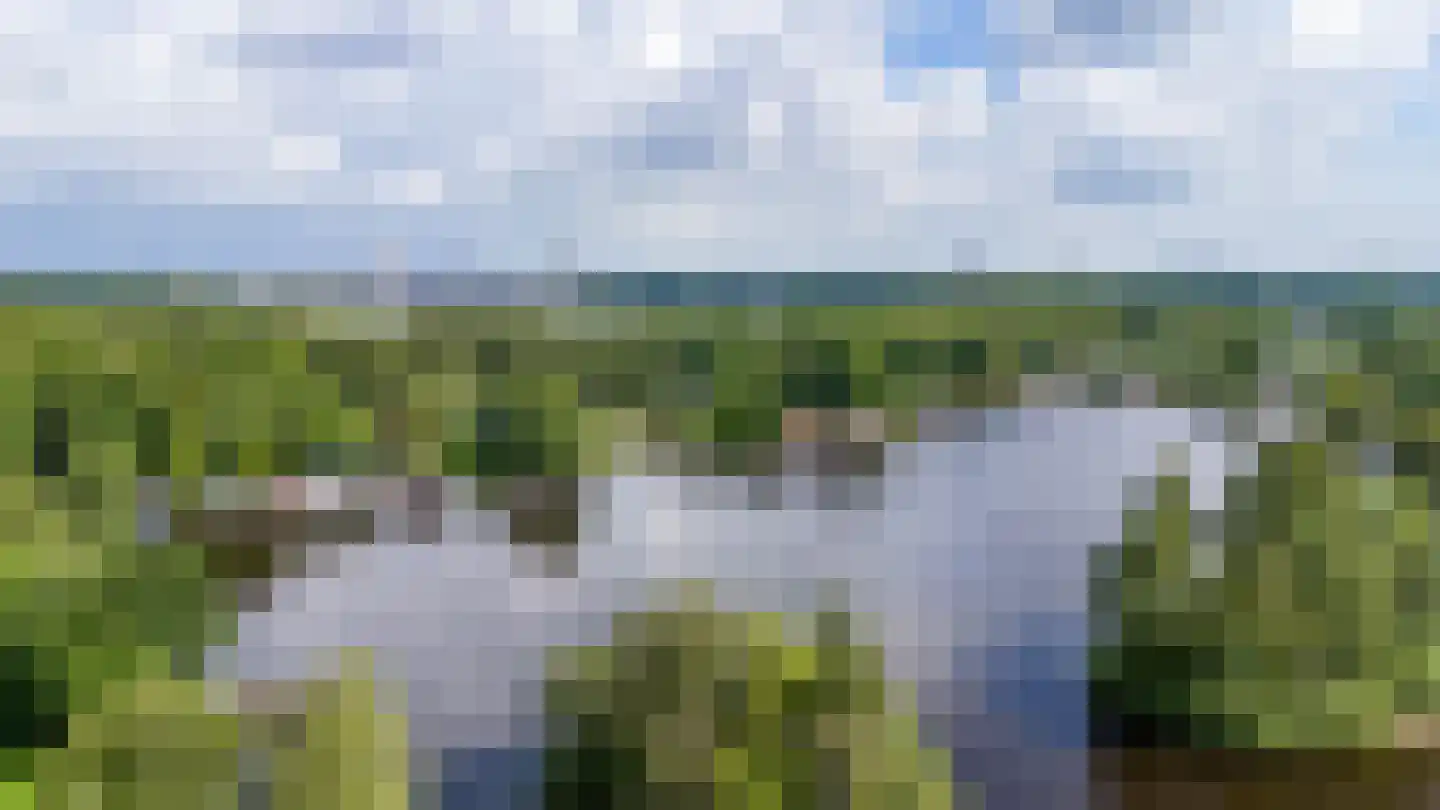 Oude Badweg 58 b 14 Haren Gn thumbnail 45