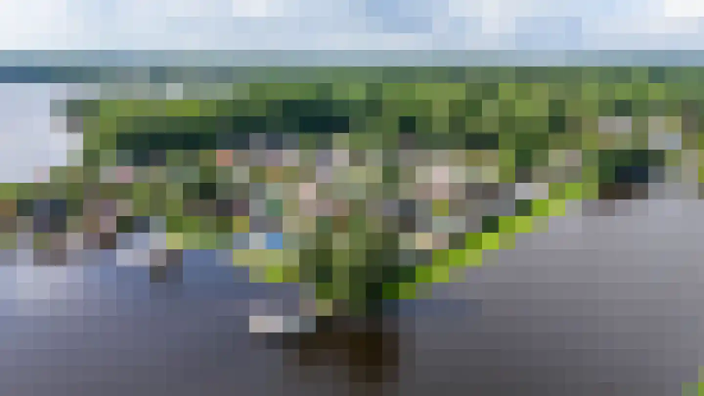 Oude Badweg 58 b 14 Haren Gn thumbnail 5