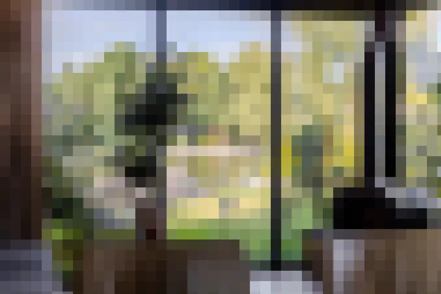 Oude Badweg 90 Eelderwolde thumbnail 8