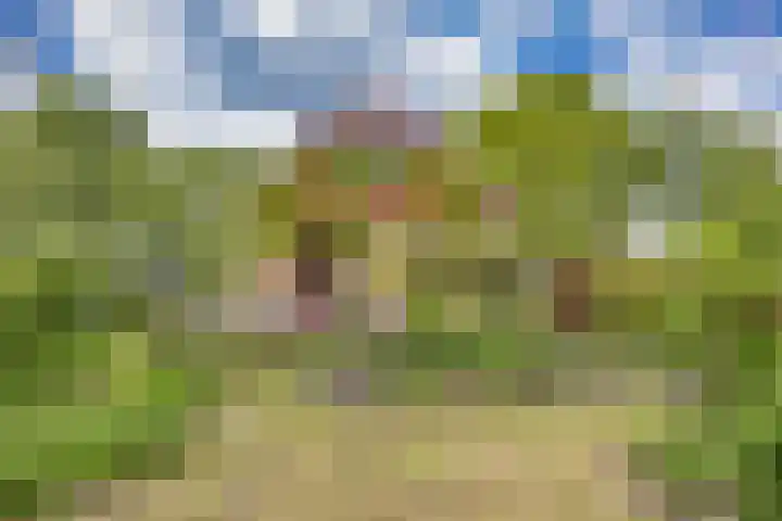 Oude Balksterweg 1 Oudemirdum thumbnail 10