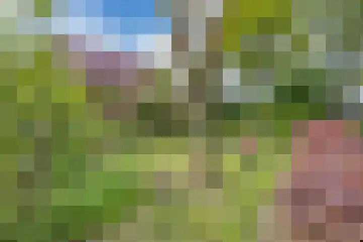 Oude Balksterweg 1 Oudemirdum thumbnail 12