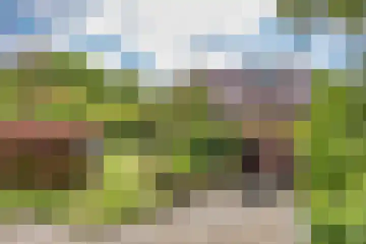 Oude Balksterweg 1 Oudemirdum thumbnail 13