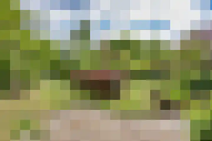 Oude Balksterweg 1 Oudemirdum thumbnail 14