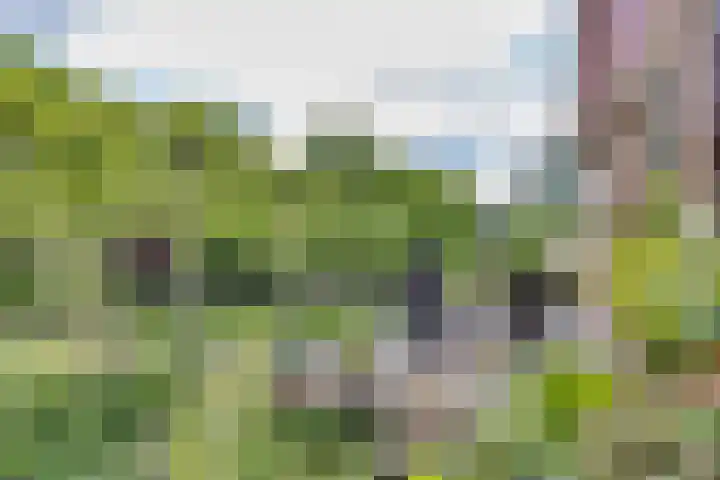 Oude Balksterweg 1 Oudemirdum thumbnail 15