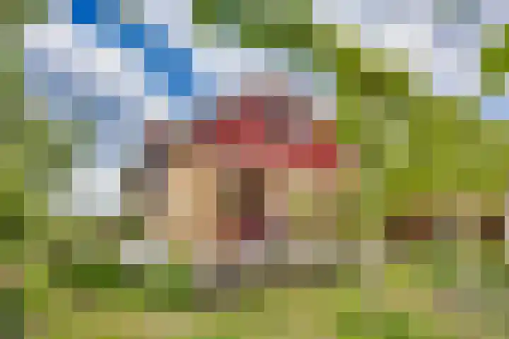 Oude Balksterweg 1 Oudemirdum thumbnail 16