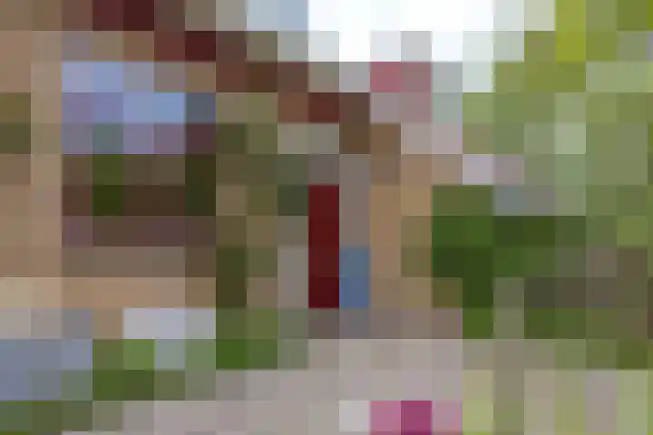 Oude Balksterweg 1 Oudemirdum thumbnail 17