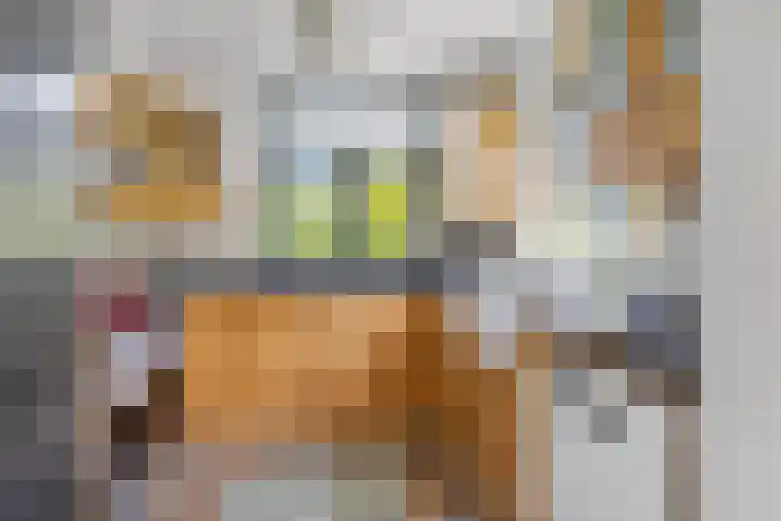 Oude Balksterweg 1 Oudemirdum thumbnail 33
