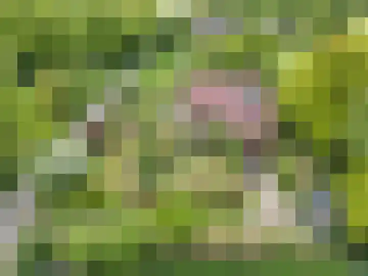Oude Balksterweg 1 Oudemirdum thumbnail 4