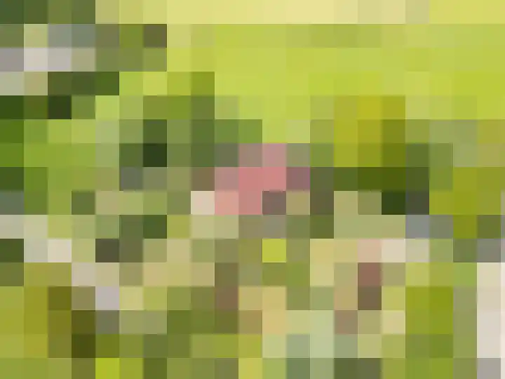 Oude Balksterweg 1 Oudemirdum thumbnail 5