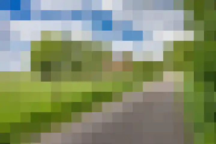 Oude Balksterweg 1 Oudemirdum thumbnail 52