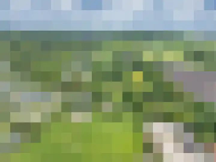 Oude Balksterweg 1 Oudemirdum thumbnail 54