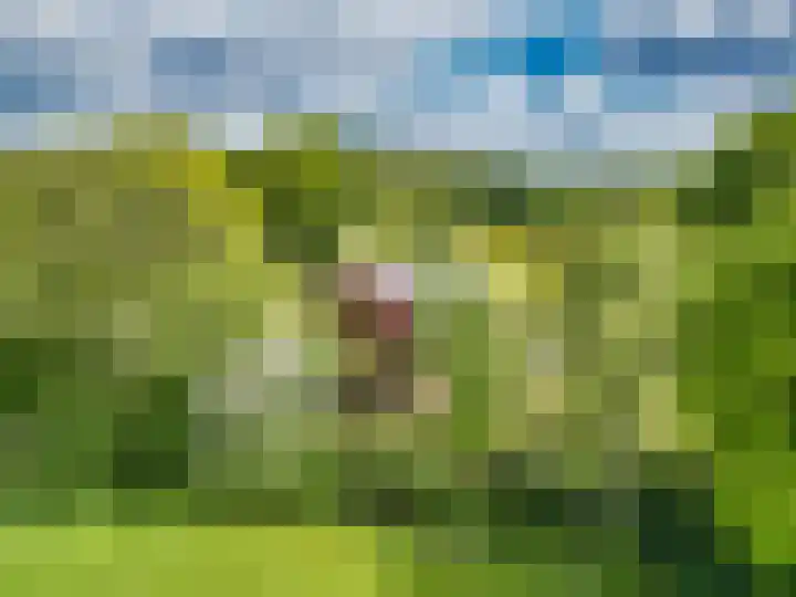 Oude Balksterweg 1 Oudemirdum thumbnail 6