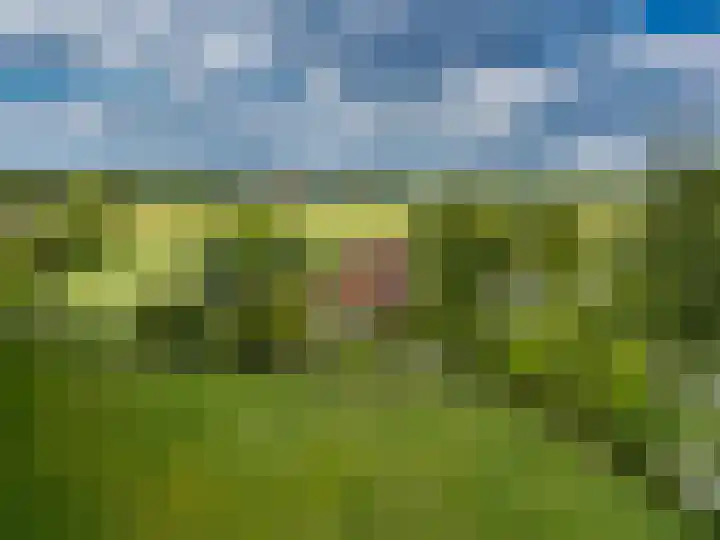Oude Balksterweg 1 Oudemirdum thumbnail 7