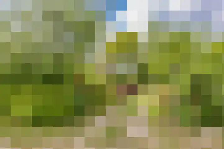 Oude Balksterweg 1 Oudemirdum thumbnail 8
