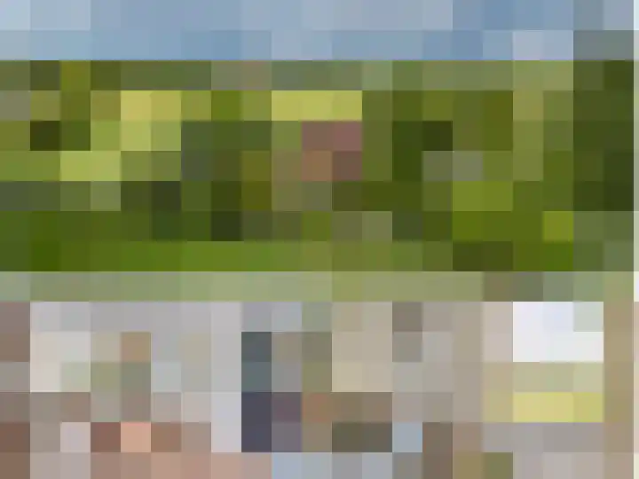 Oude Balksterweg 1 Oudemirdum thumbnail 9
