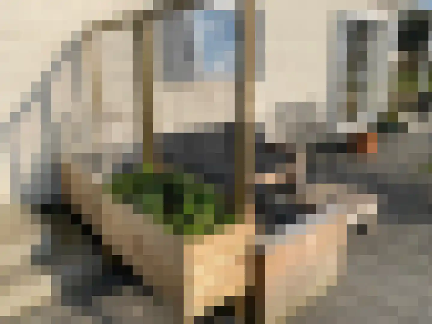 Oude Balksterweg 2 316 Oudemirdum thumbnail 17