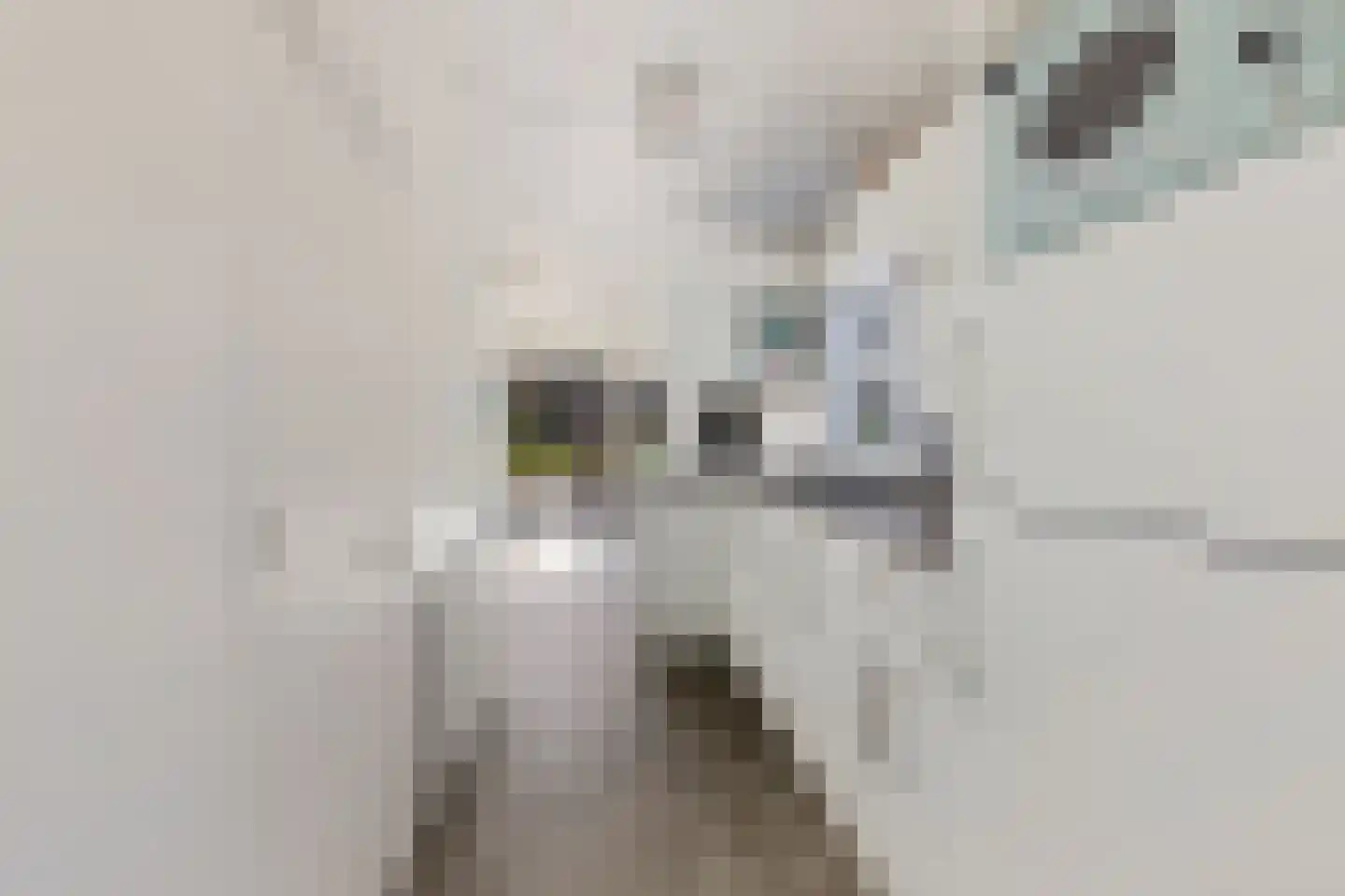 Oude Balksterweg 4 K 28 Oudemirdum thumbnail 9