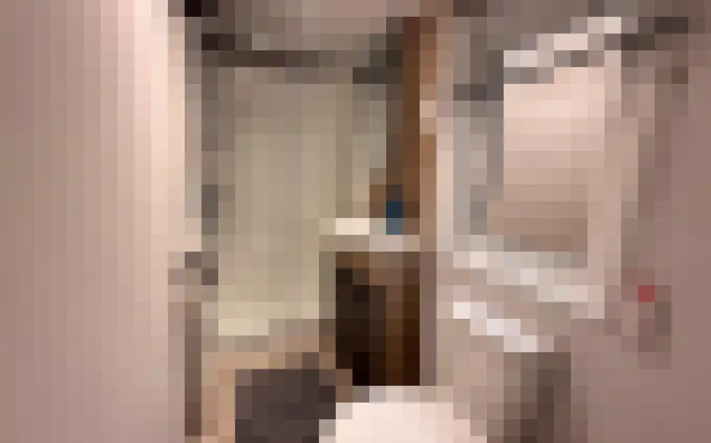 Oude Balksterweg 4 Oudemirdum thumbnail 6