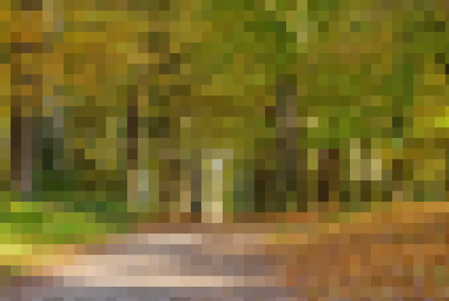 Oude Balksterweg 4 Oudemirdum thumbnail 8