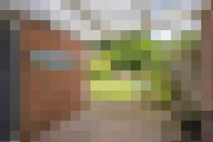 Oude Barneveldseweg 10 Nijkerk thumbnail 28