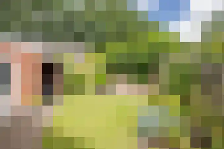 Oude Barneveldseweg 10 Nijkerk thumbnail 29