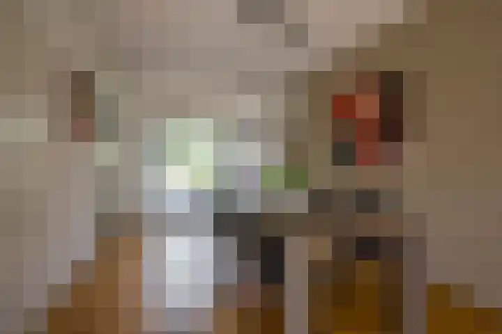 Oude Barneveldseweg 10 Nijkerk thumbnail 6