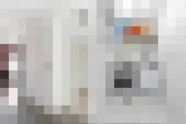 Oude Barneveldseweg 13 Nijkerk thumbnail 18