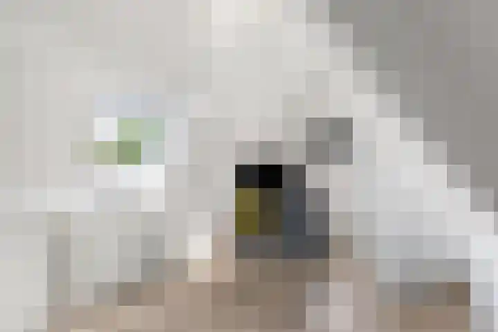 Oude Barneveldseweg 13 Nijkerk thumbnail 37