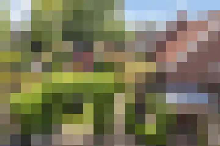 Oude Barneveldseweg 13 Nijkerk thumbnail 41