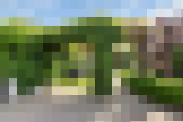 Oude Barneveldseweg 13 Nijkerk thumbnail 42
