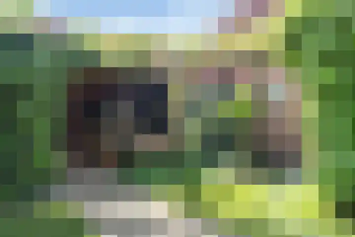 Oude Barneveldseweg 13 Nijkerk thumbnail 43