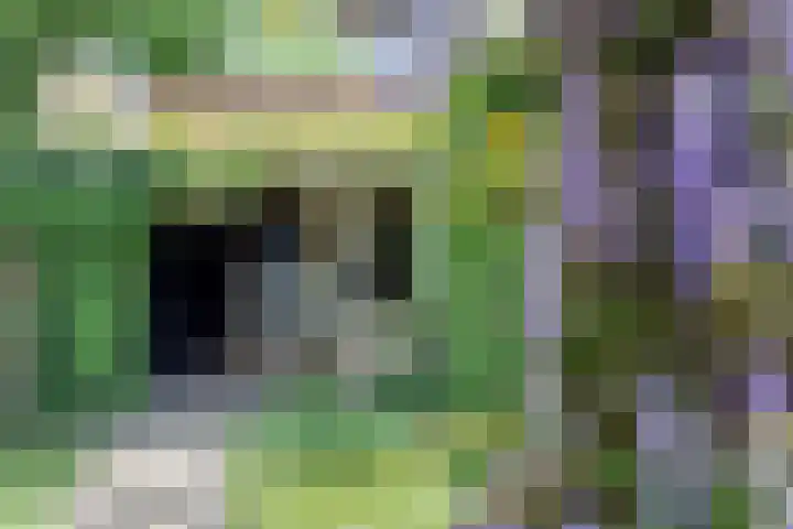 Oude Barneveldseweg 13 Nijkerk thumbnail 44