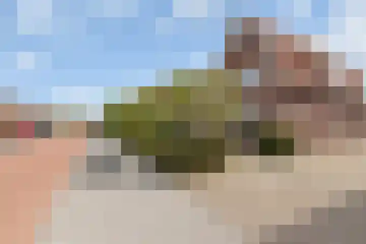 Oude Barneveldseweg 13 Nijkerk thumbnail 6